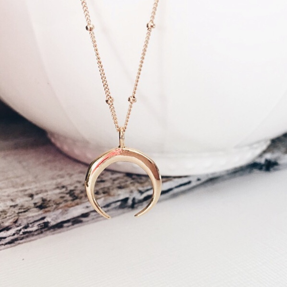 Light rose Gold Double horned necklace